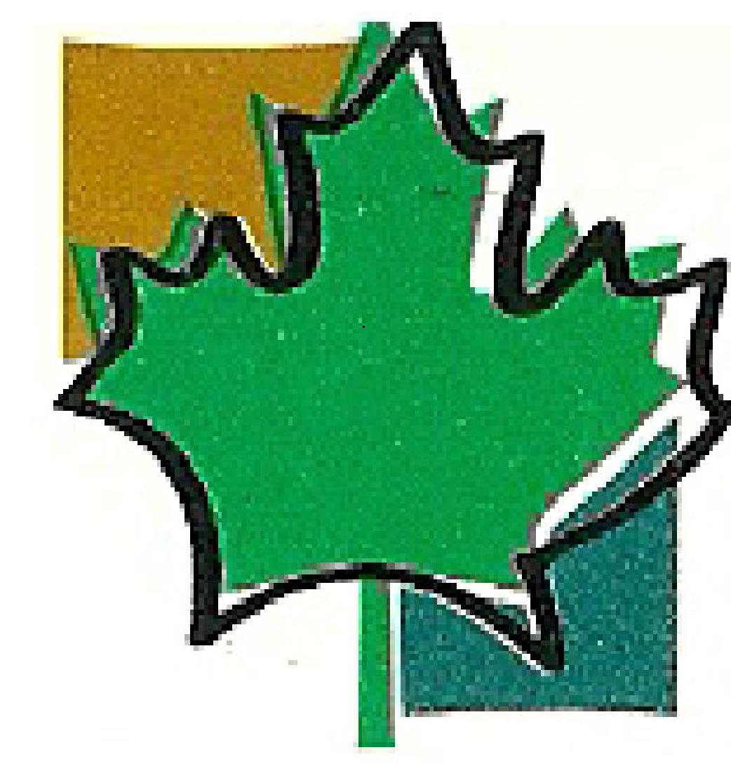 Logo Michel Dupuis erabliere relais